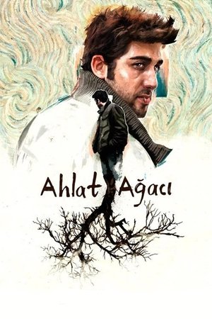 Ahlat Ağacı 2018