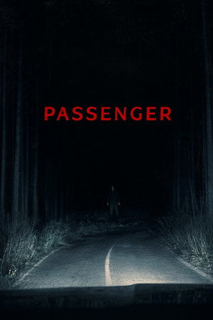 Yolcu | Passenger 2026