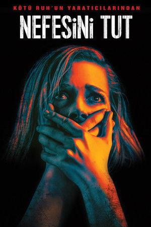 Nefesini Tut | Don't Breathe 2016