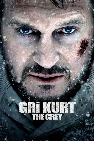 Gri Kurt | The Grey 2011