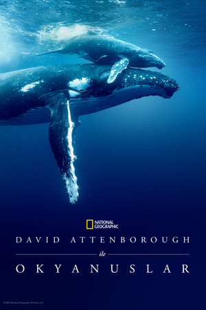 David Attenborough ile Okyanuslar | Ocean with David Attenborough 2025