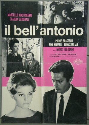 Bell' Antonio | Il Bell'Antonio 1960