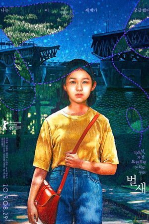 Sinek Kuşu | House of Hummingbird 2018